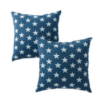 17" x 17" Outdoor Throw Pillow - SET OF 2