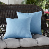 17" x 17" Outdoor Throw Pillow - SET OF 2