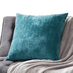 Velvet Throw Pillow