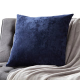 Velvet Throw Pillow