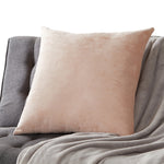 Velvet Throw Pillow